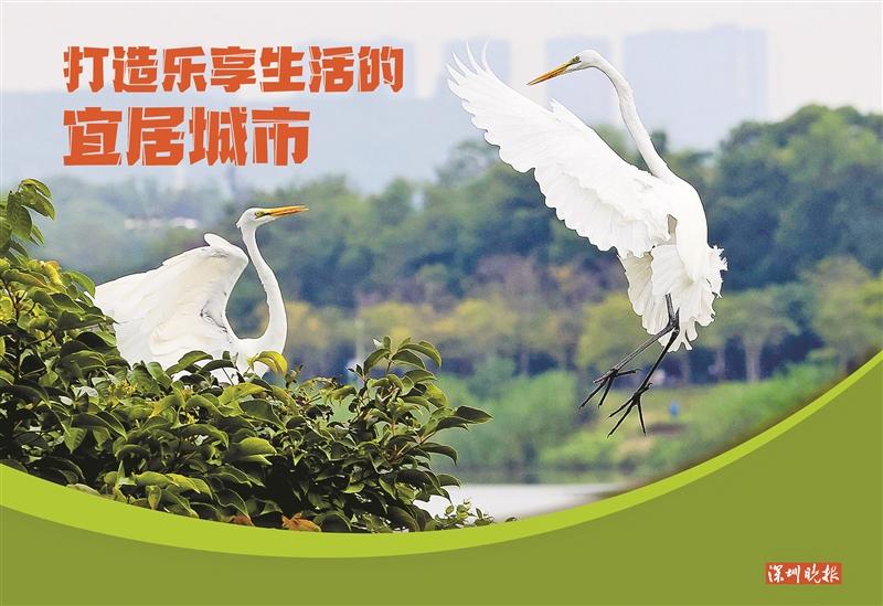 9f406aa9-271b-48fb-a00c-e2123d7dc03f.jpg